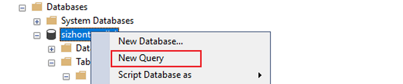 Screenshot that shows how to select your database and create a new query.