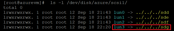 Captura de tela mostrando o código que verifica a lista de discos. Os resultados estão realçados.