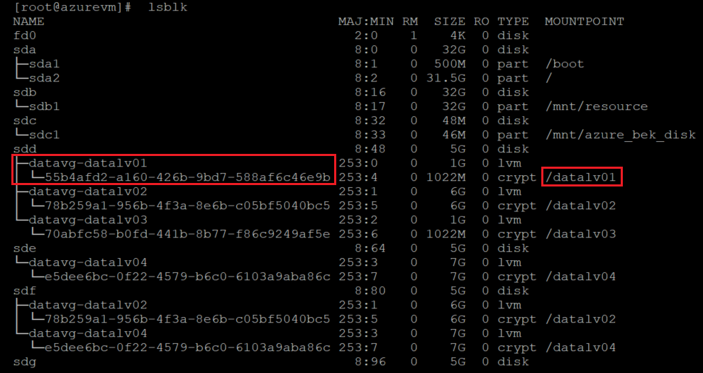 Captura de tela mostrando o código que identifica o volume local que precisa ser redimensionado. Os resultados estão realçados.