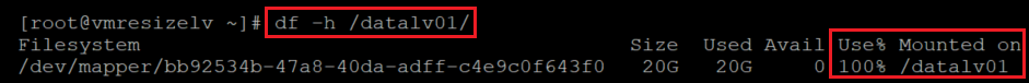Captura de tela mostrando o código que verifica a utilização do sistema de arquivos. O comando e o resultado estão realçados.