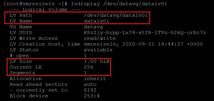 Captura de tela mostrando o código que verifica o tamanho volume local. Os resultados estão realçados.