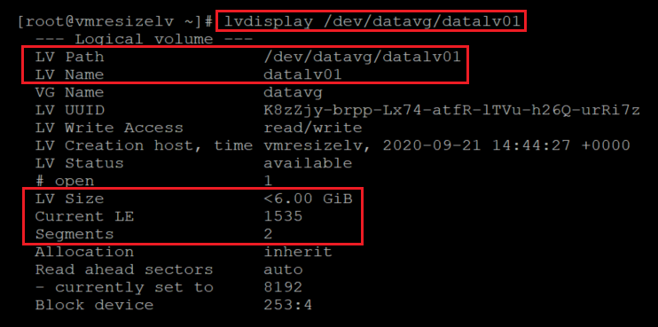 Captura de tela mostrando o código que verifica o novo tamanho do volume local. Os resultados estão realçados.