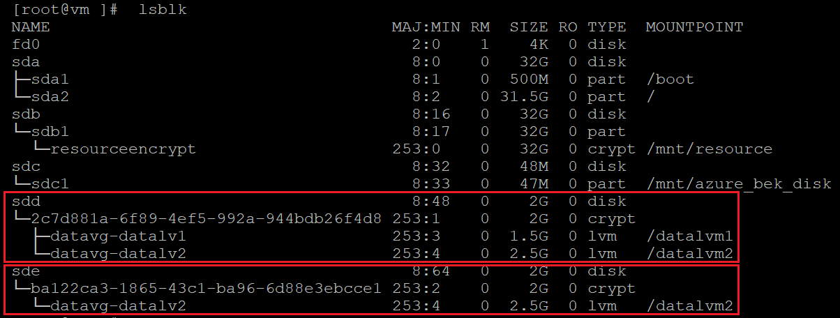 Captura de tela mostrando o código que identifica os discos criptografados. Os resultados estão realçados.