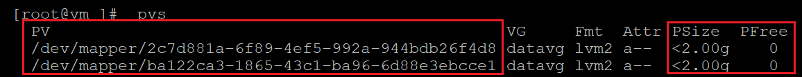 Captura de tela mostrando o código que verifica informações dos volumes físicos. Os resultados estão realçados.