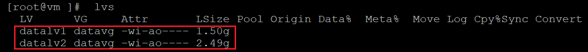 Captura de tela mostrando o código que verifica informações do volume local. O resultado está realçado.