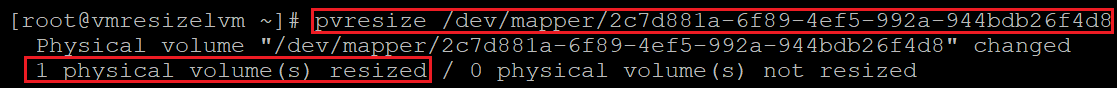 Captura de tela mostrando o código que redimensiona o volume físico. Os resultados estão realçados.