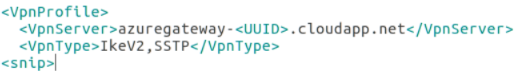 Screenshot shows contents of the VpnSettings.xml file.