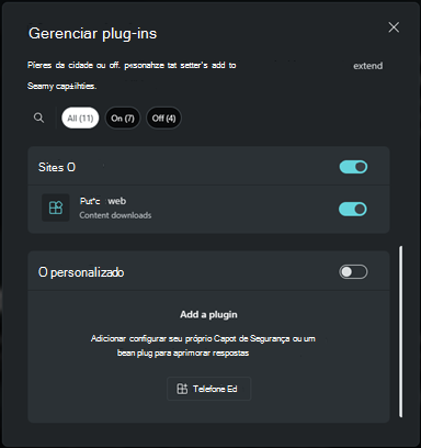 Captura de ecrã da secção Personalizada do plug-in.