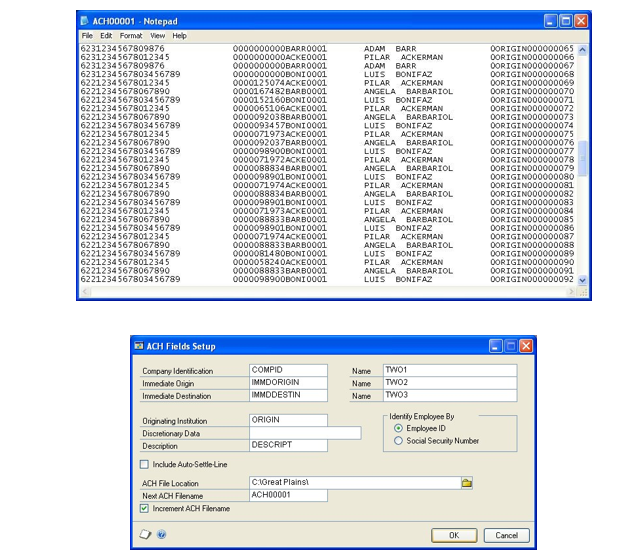 Screenshot of an ACH Notepad file and an ACH Fields Setup window.