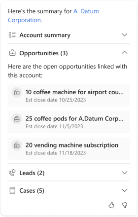 Captura de tela do resumo da conta do Copilot junto com a lista de oportunidades da conta.