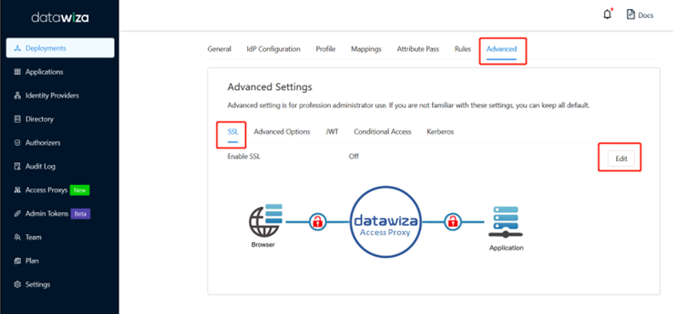 A captura de tela mostra a janela avançada datawiza.
