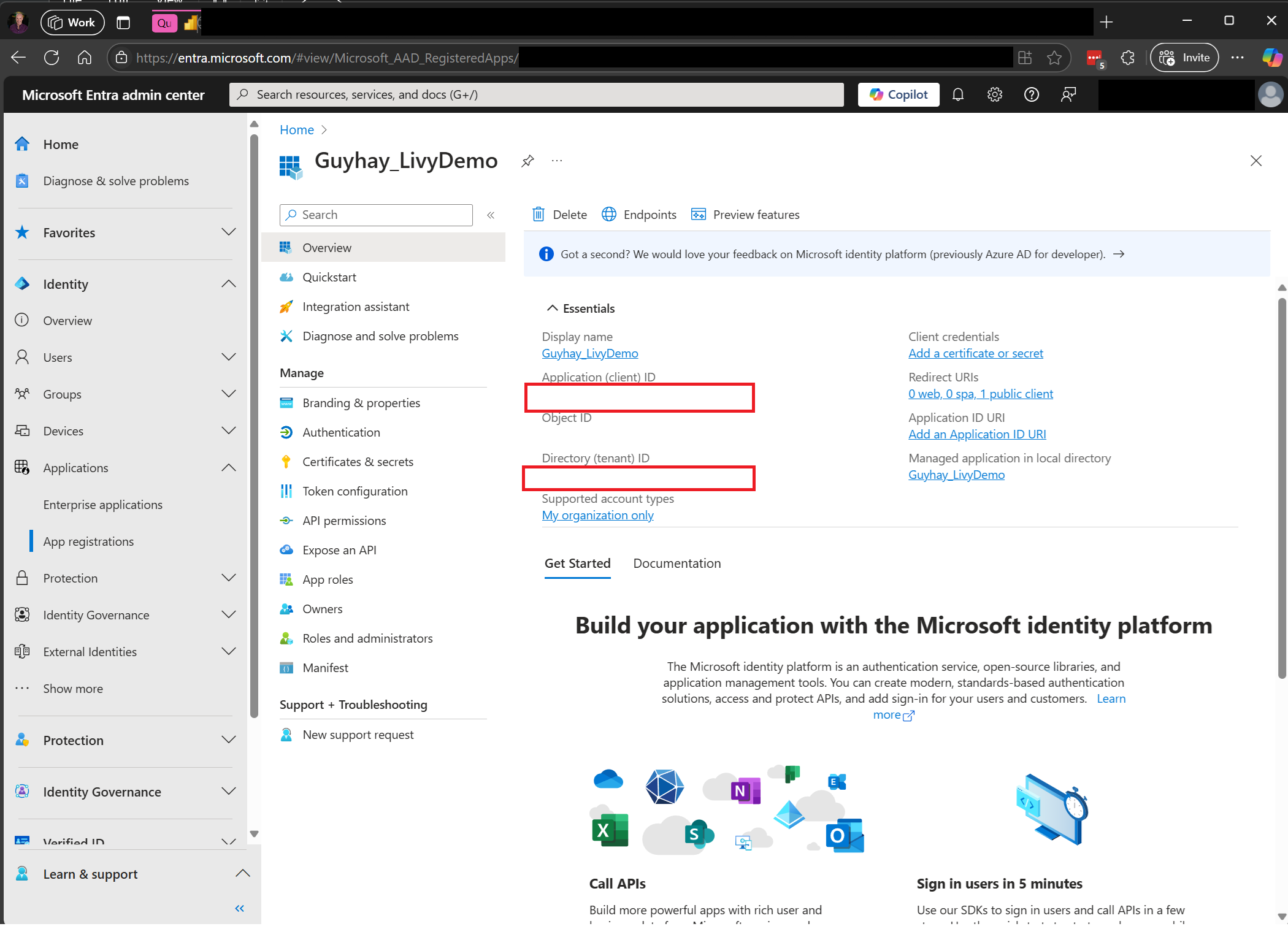 Captura de tela mostrando a visão geral do aplicativo API Livy no centro de administração do Microsoft Entra.