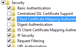Screenshot of World Wide Web Services pane expanded and Client Certificate Mapping Authentication selected.