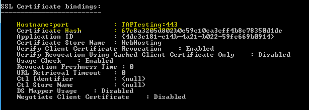 Screenshot that shows a command window. Host name and port are highlighted.
