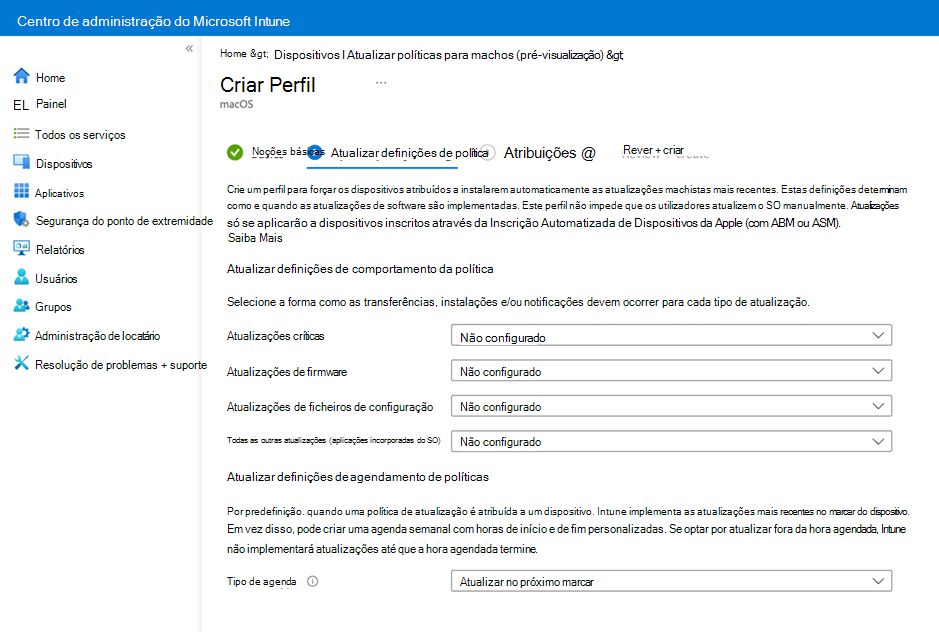Captura de ecrã da página Definições da política de atualização.