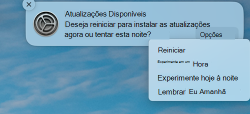 A notificação de exemplo de que uma atualização está disponível em um dispositivo MacOS Apple.