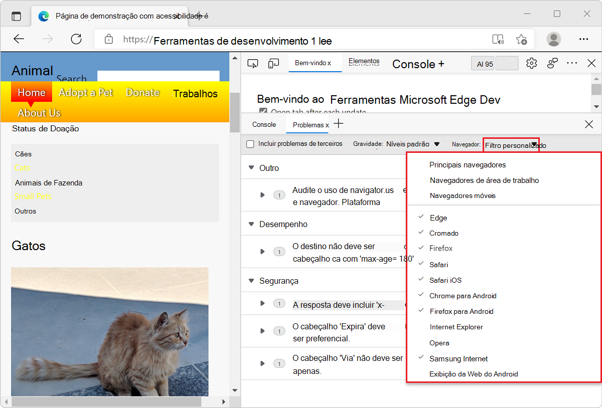 O painel Problemas com a lista suspensa do Navegador foi expandido, mostrando os diferentes navegadores que podem ser selecionados