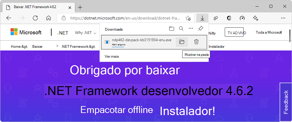 Baixar .NET Framework Pacote de Desenvolvedores