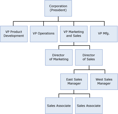 gráfico organizacional de exemplo