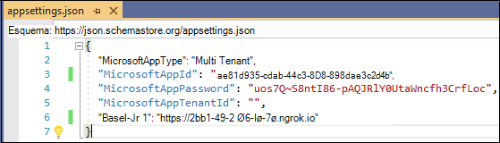 Captura de tela do arquivo JSON appsettings que exibe as informações de appsettings.