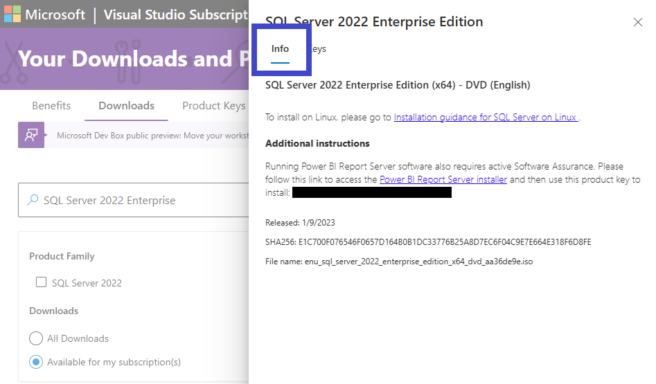 Captura de tela da chave do produto do Servidor de Relatórios do Power BI exibida na seção de informações do Assinaturas do Visual Studio.