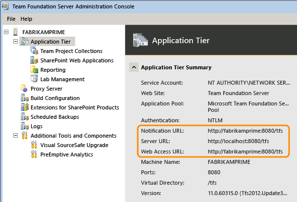 Informações sobre o Team Web Access está correto