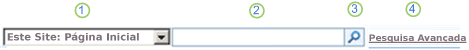Caixa de pesquisa no nível do site no Office SharePoint Server