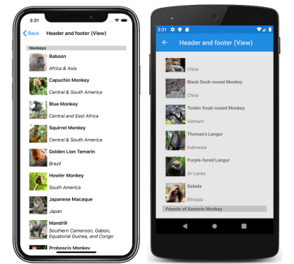 Captura de tela de um cabeçalho e rodapé do CollectionView usando modos de exibição no iOS e Android