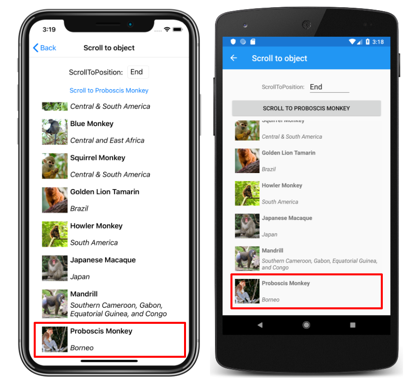 Captura de tela de uma lista vertical CollectionView com ScrollToPosition.End, no iOS e Android