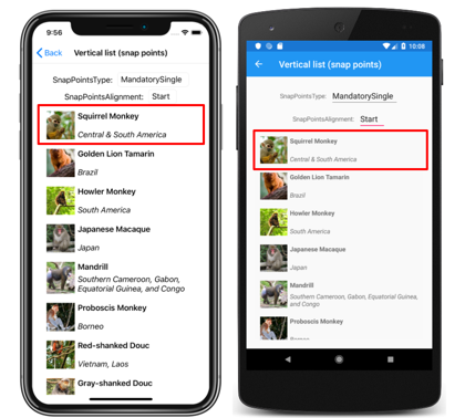 Captura de tela de uma lista vertical do CollectionView com pontos de ajuste de início, no iOS e Android