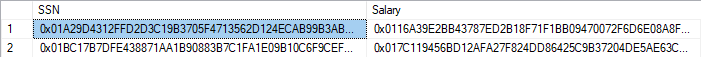 Screenshot of cipher text results from encrypted columns.