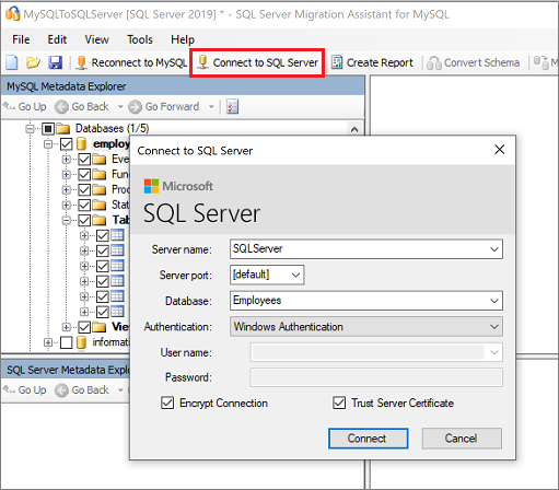 Screenshot that shows Connect to SQL Server.
