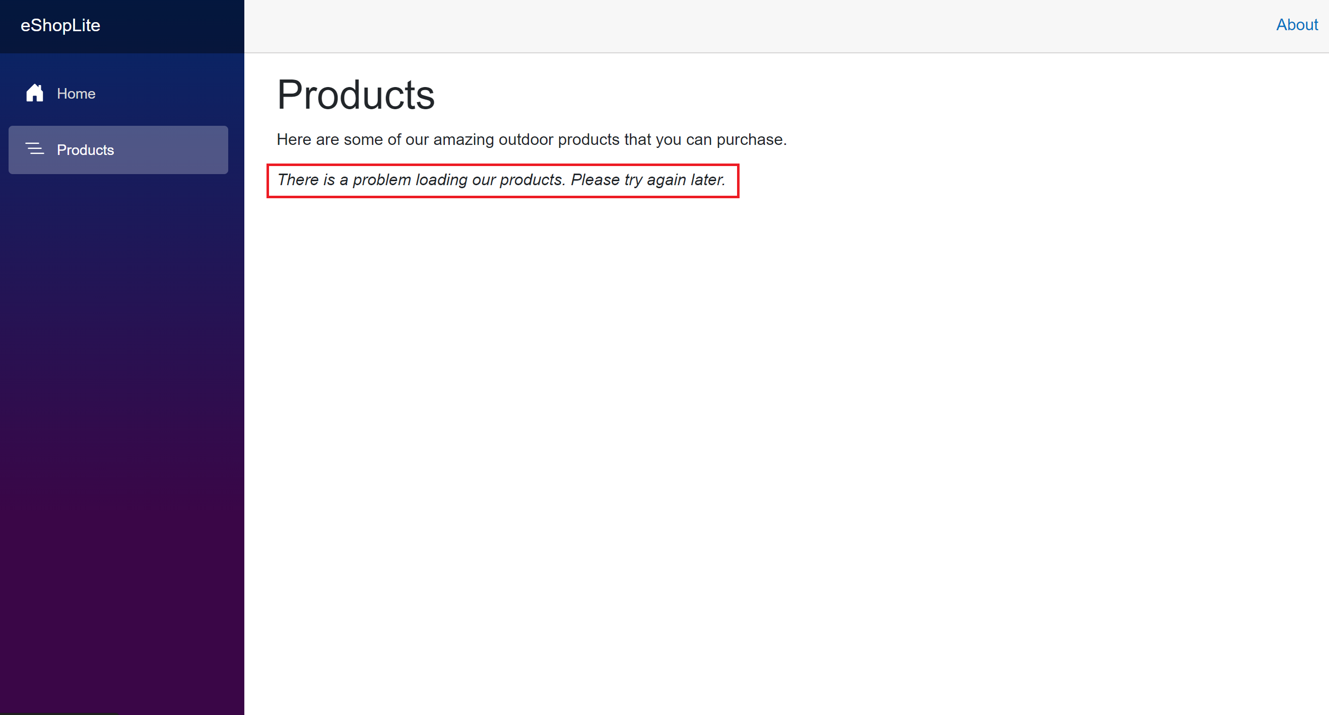 Uma captura de tela mostrando que os produtos não podem ser carregados.