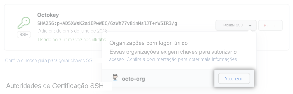 Captura de tela da chave SSH.