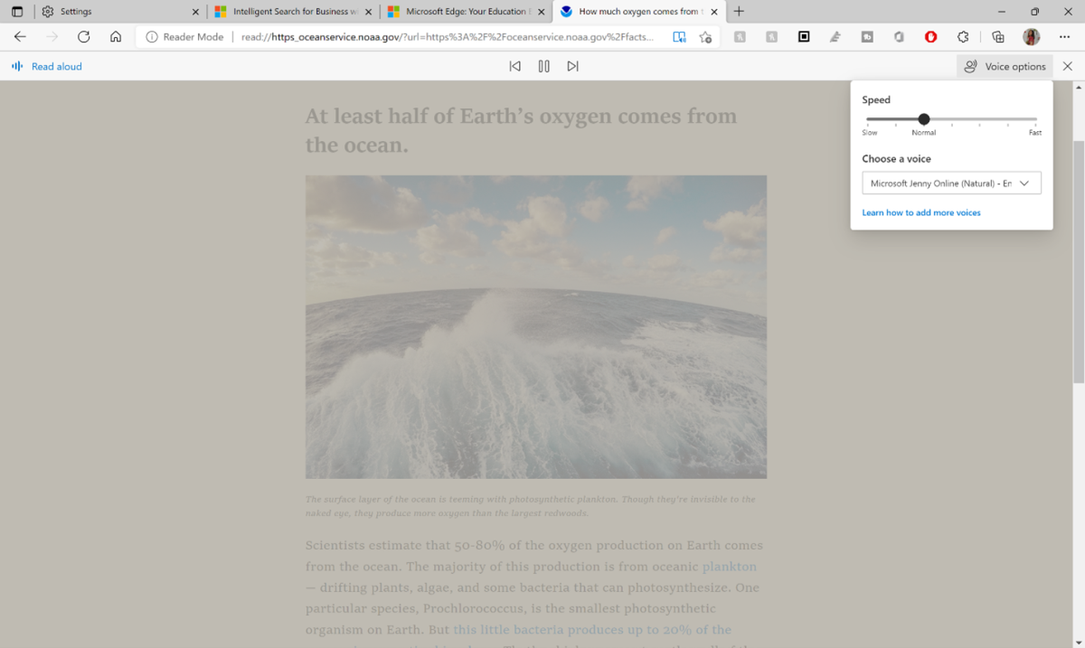 Screenshot of Immersive Reader pane in Microsoft Edge with the voice options menu option.