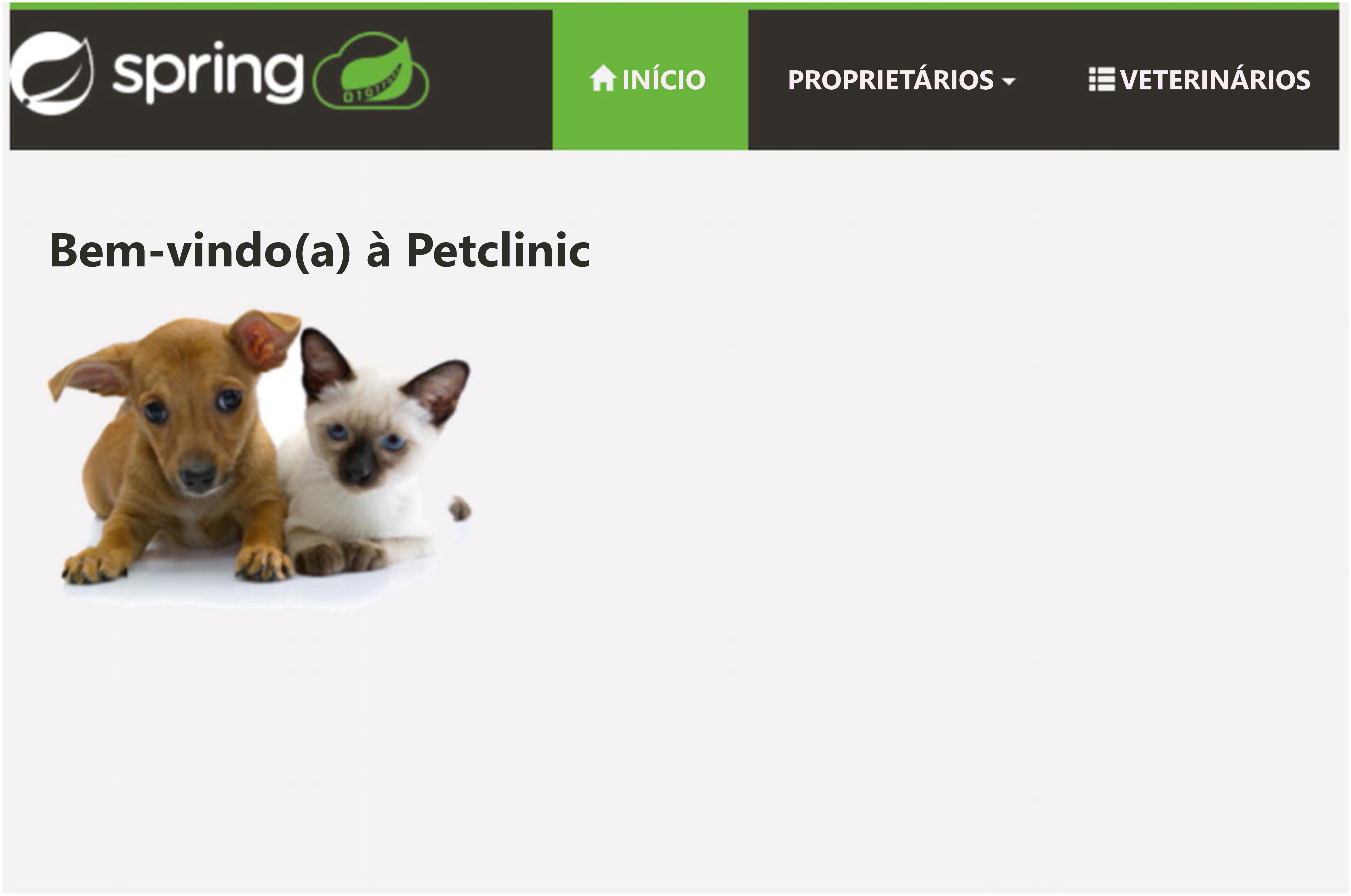 Captura de tela do aplicativo Spring Apps.