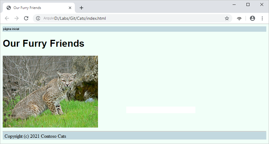 Screenshot that shows cats on the website.