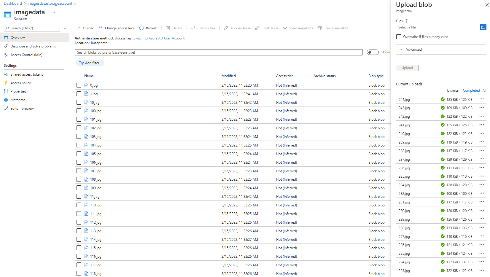 Uma captura de tela mostra os dados de imagem carregados no Contêiner de Armazenamento do Azure.