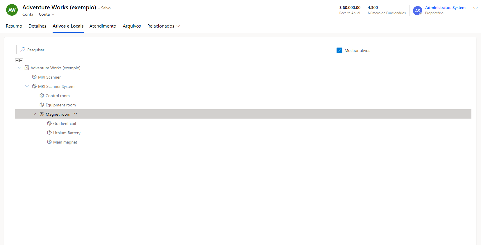 Captura de tela dos ativos do cliente em uma conta.