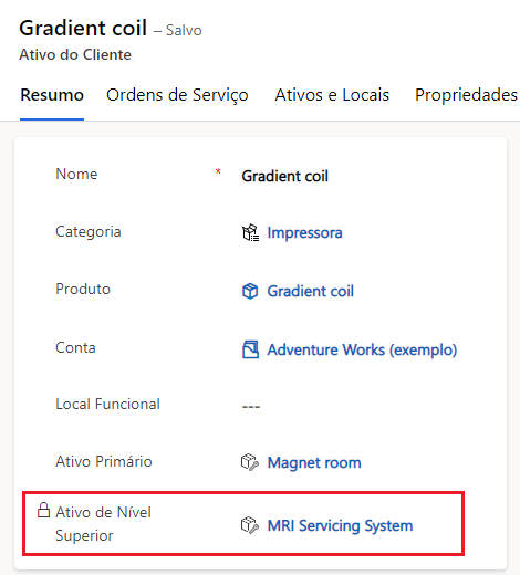 Captura de tela mostrando a entrada Ativo de Nível Superior.