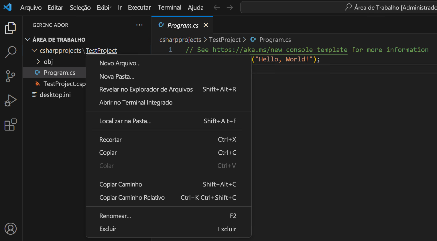 Captura de tela mostrando um comando sendo inserido no painel do terminal integrado do Visual Studio Code.