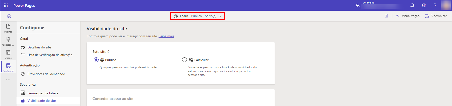 Captura de tela do cabeçalho alterado para público.