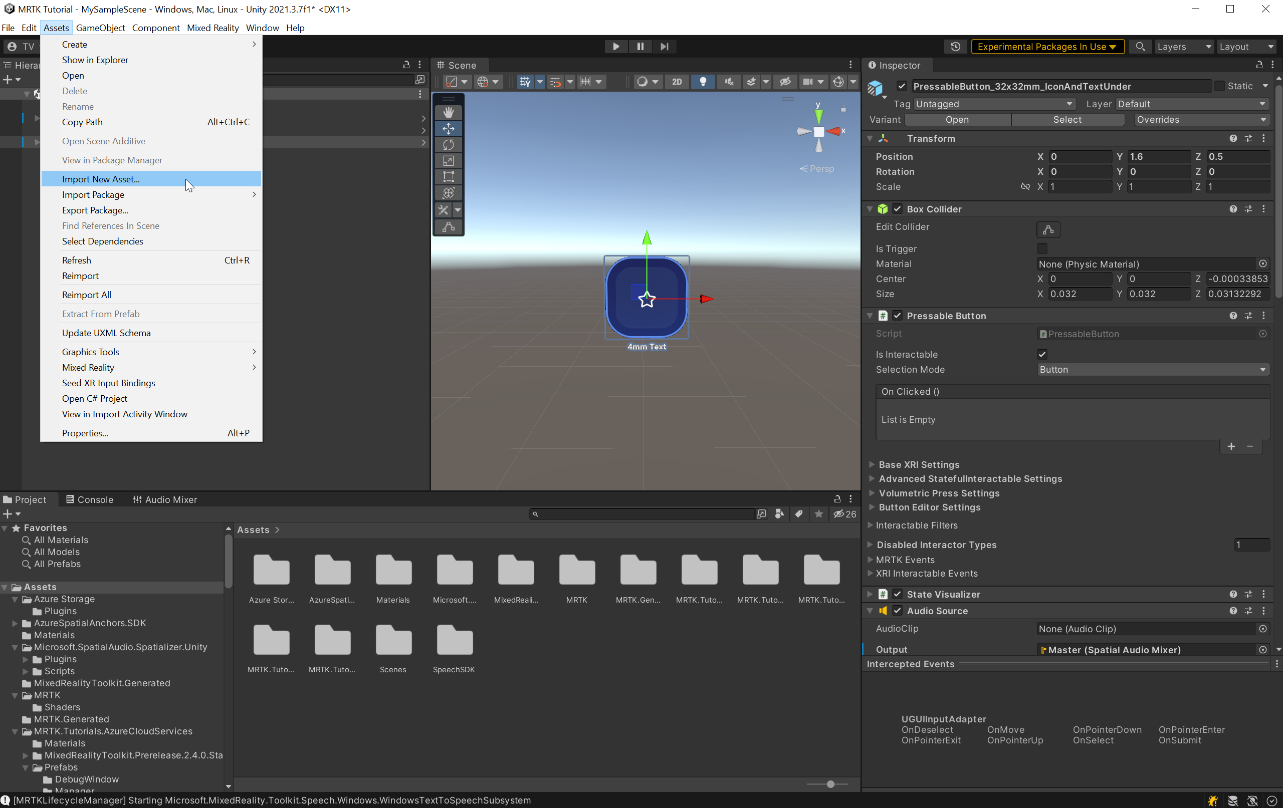 Screenshot of Importing Asset.