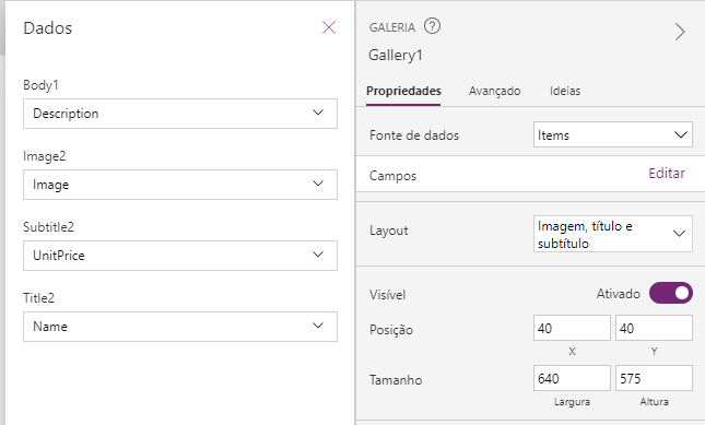 Captura de tela dos campos da galeria.