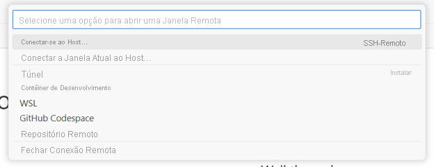 Captura de tela mostrando os principais comandos que você pode acessar clicando no indicador remoto.