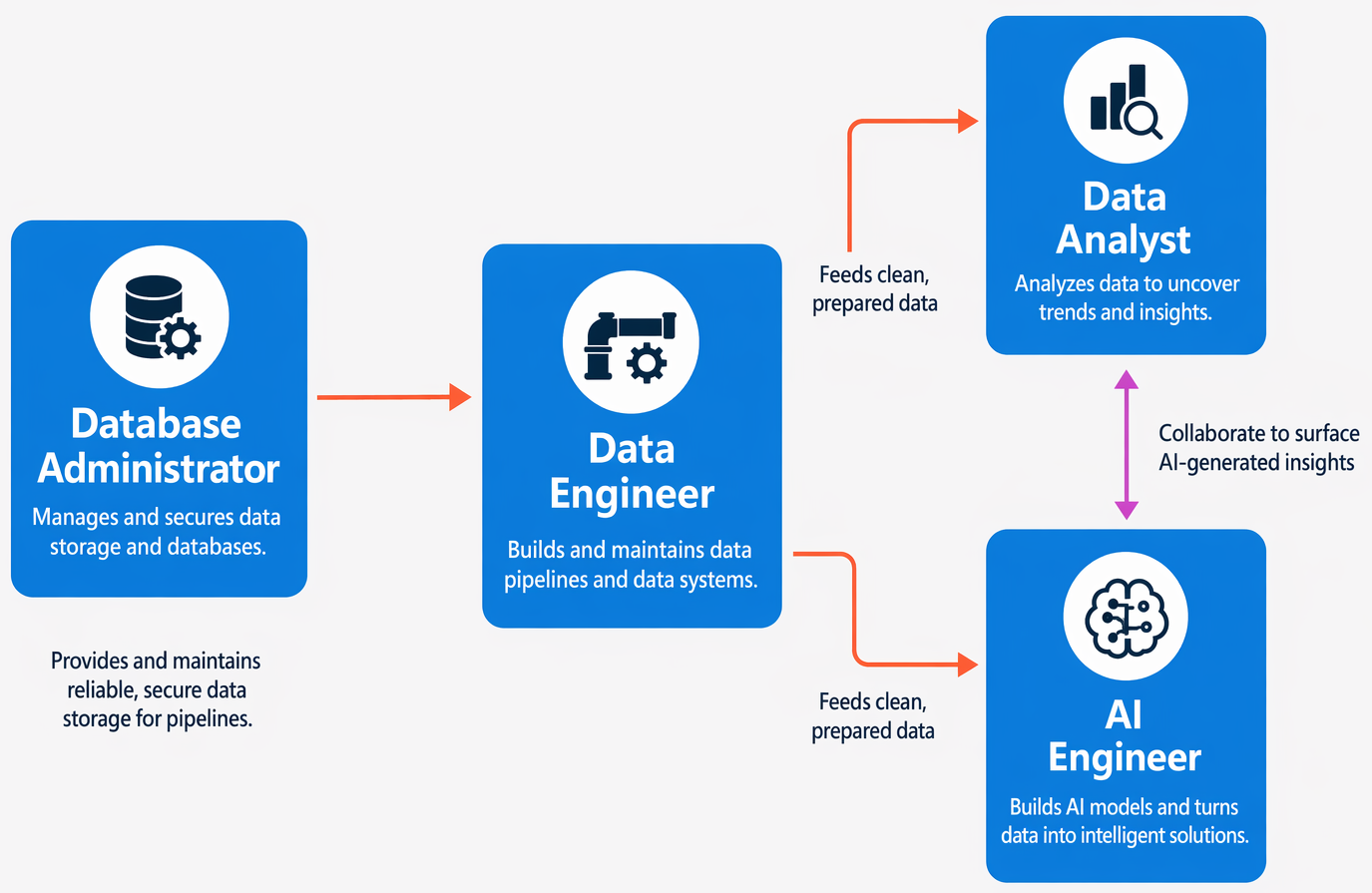 Diagrama explicando as principais funções de trabalho que lidam com dados.