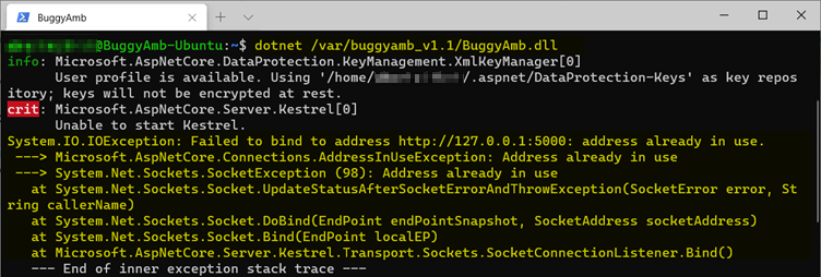 Captura de tela da mensagem de erro de E/S.