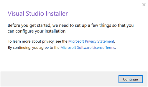 Captura de tela mostrando os Termos de Licença da Microsoft e a Declaração de Privacidade.