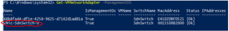 powershell mostrando vnic que precisa ser limpa