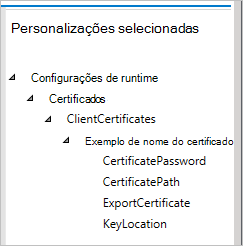 No Designer de Configuração do Windows, o painel personalizações selecionadas mostra suas configurações.